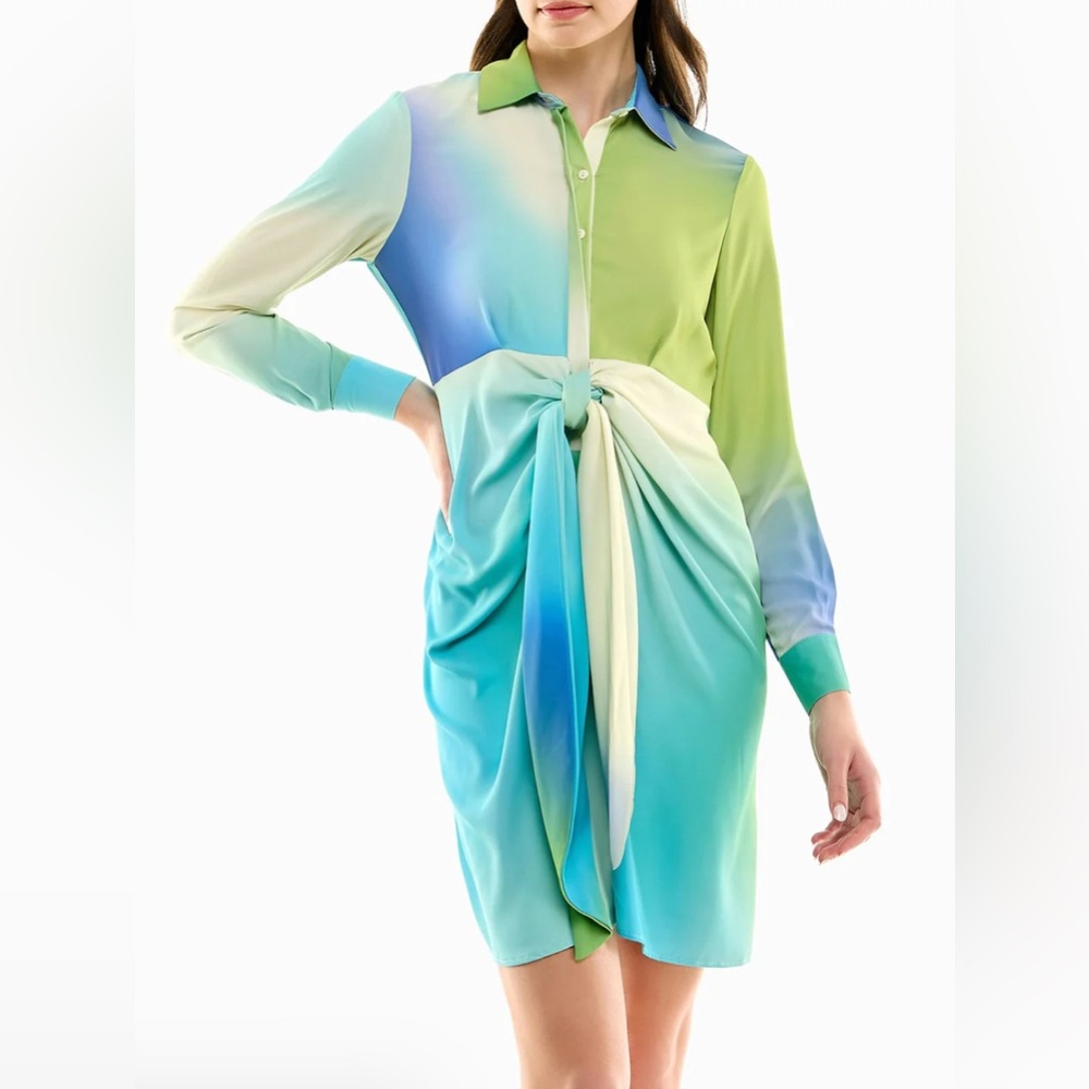 Nicole Miller Audrey Silk Long Sleeve Shirt Dress